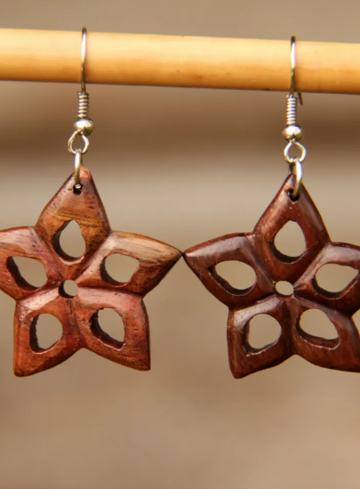 Dřevěné náušnice "Badyánky" | PachaMama.cz