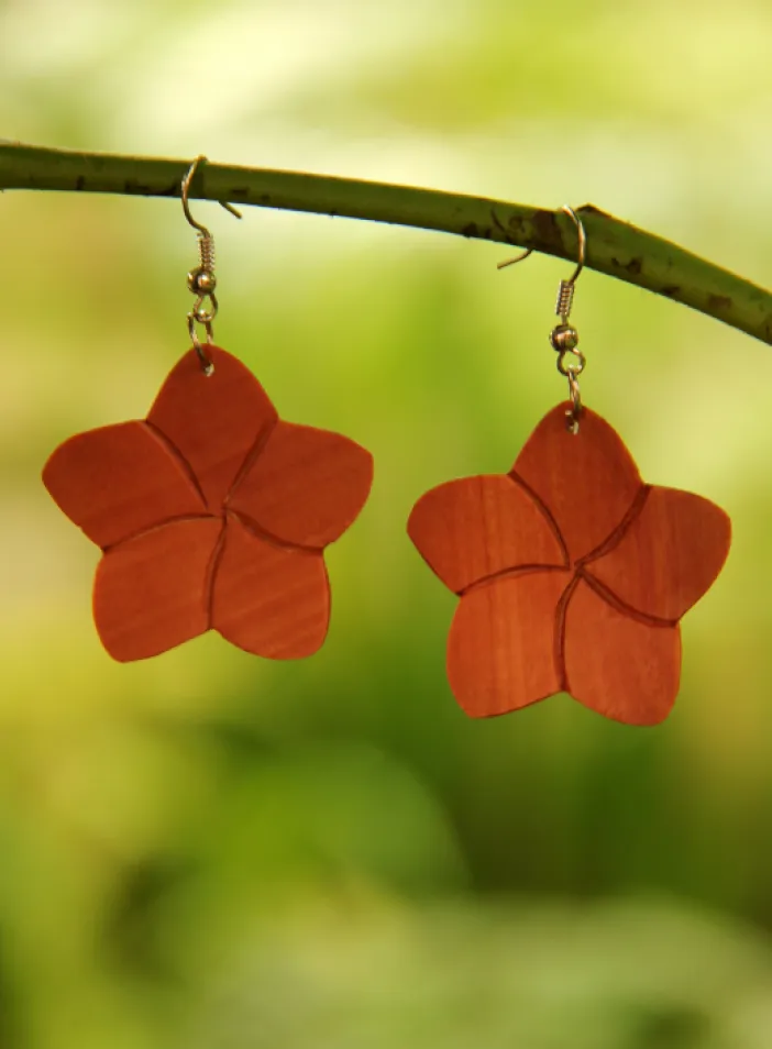 Dřevěné náušnice "Frangipani" | PachaMama.cz