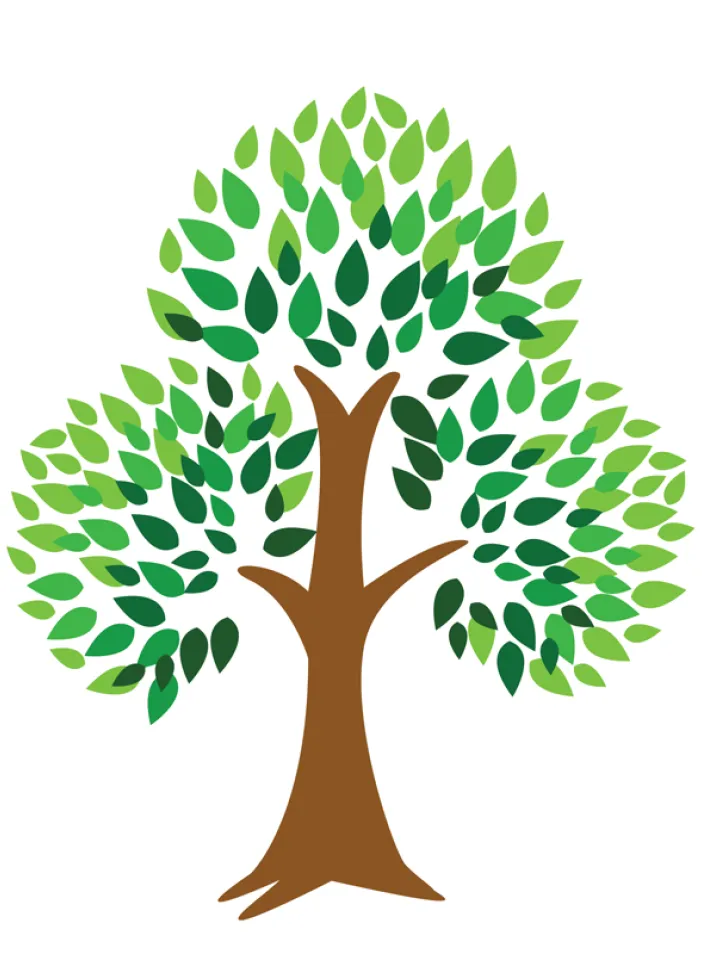 Zasaď strom - digitální certifikát | PachaMama.cz