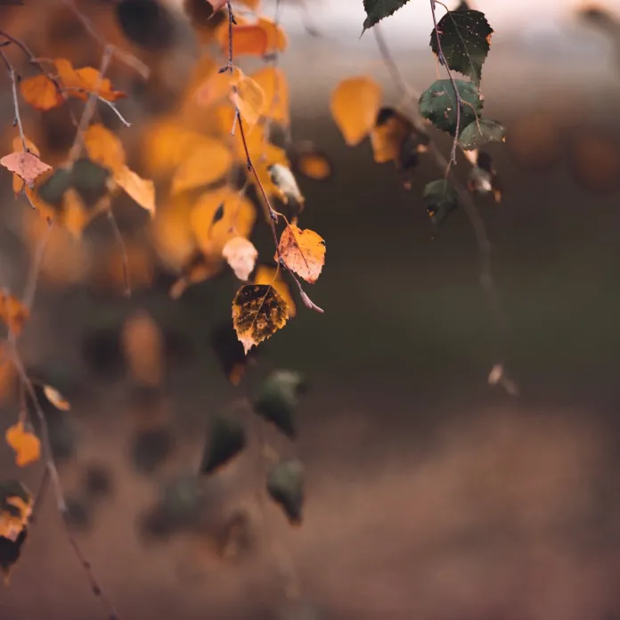  „PŘIZNAT VŠE, JAK TO JE. NEFOTIT ILUZE,” TAK FOTÍ PAVLA KURKOVÁ, FOTOGRAFKA PACHAMAMA | PachaMama.cz