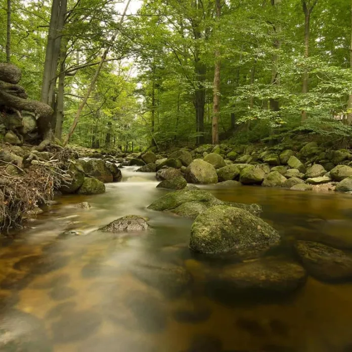  „PŘIZNAT VŠE, JAK TO JE. NEFOTIT ILUZE,” TAK FOTÍ PAVLA KURKOVÁ, FOTOGRAFKA PACHAMAMA | PachaMama.cz