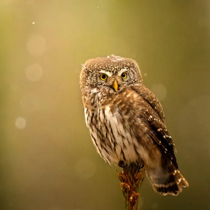  „PŘIZNAT VŠE, JAK TO JE. NEFOTIT ILUZE,” TAK FOTÍ PAVLA KURKOVÁ, FOTOGRAFKA PACHAMAMA | PachaMama.cz