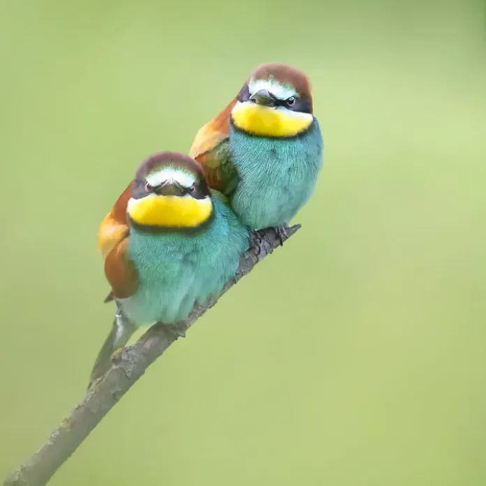  „PŘIZNAT VŠE, JAK TO JE. NEFOTIT ILUZE,” TAK FOTÍ PAVLA KURKOVÁ, FOTOGRAFKA PACHAMAMA | PachaMama.cz