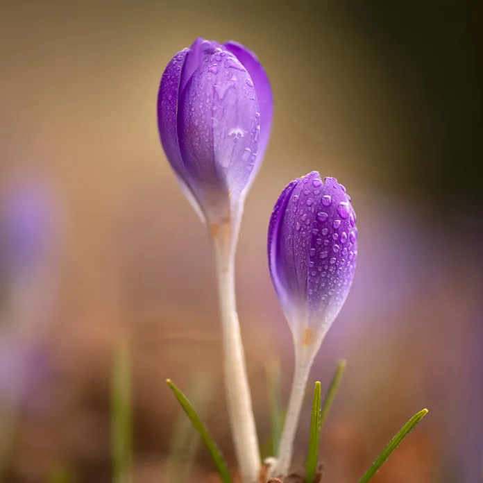  „PŘIZNAT VŠE, JAK TO JE. NEFOTIT ILUZE,” TAK FOTÍ PAVLA KURKOVÁ, FOTOGRAFKA PACHAMAMA | PachaMama.cz