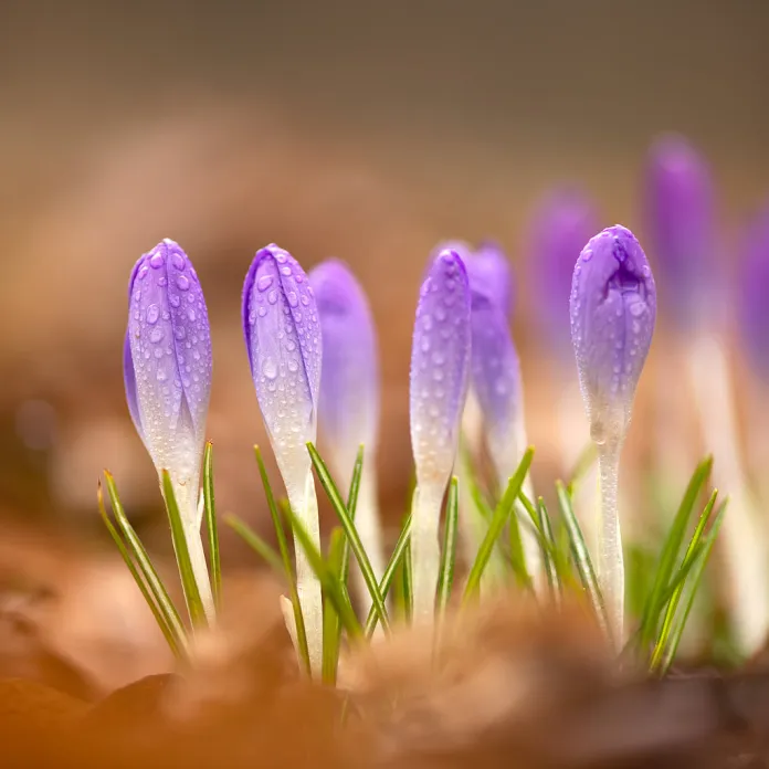  „PŘIZNAT VŠE, JAK TO JE. NEFOTIT ILUZE,” TAK FOTÍ PAVLA KURKOVÁ, FOTOGRAFKA PACHAMAMA | PachaMama.cz