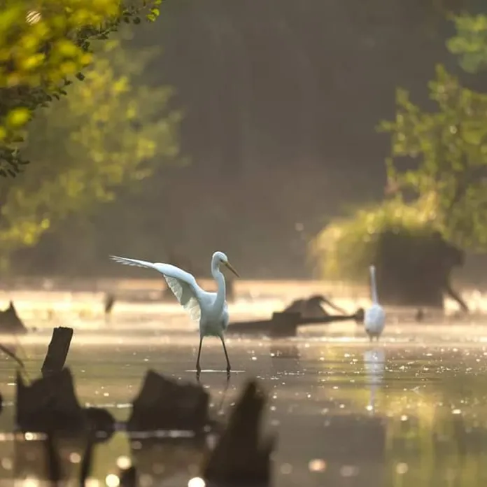  „PŘIZNAT VŠE, JAK TO JE. NEFOTIT ILUZE,” TAK FOTÍ PAVLA KURKOVÁ, FOTOGRAFKA PACHAMAMA | PachaMama.cz