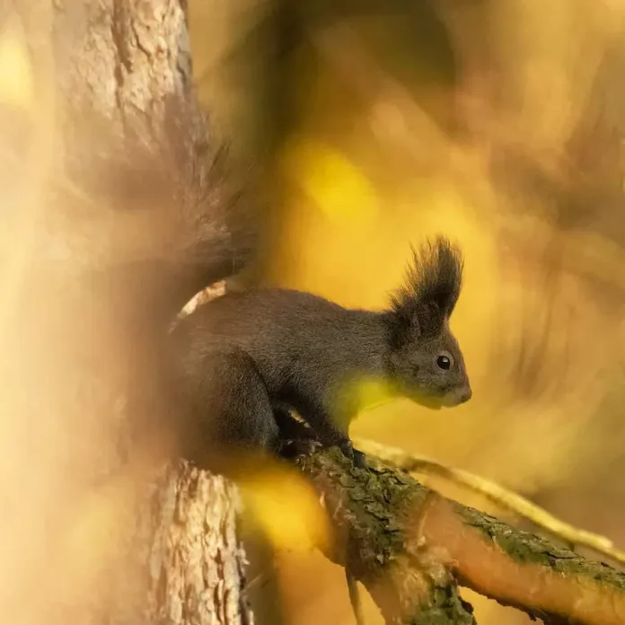  „PŘIZNAT VŠE, JAK TO JE. NEFOTIT ILUZE,” TAK FOTÍ PAVLA KURKOVÁ, FOTOGRAFKA PACHAMAMA | PachaMama.cz