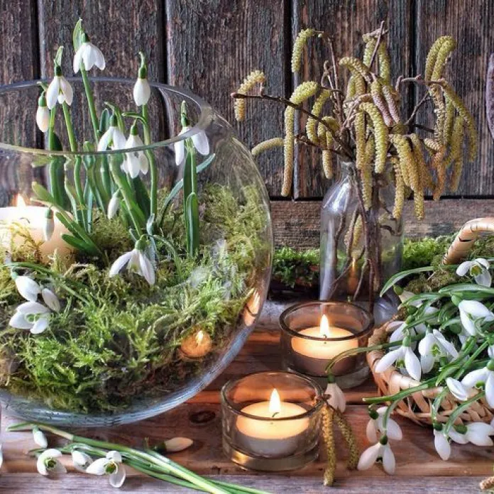 Hromnice, Imbolc a první záblesky jara | PachaMama.cz