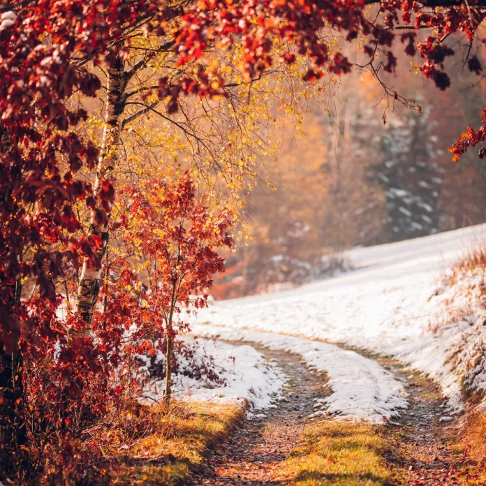  „PŘIZNAT VŠE, JAK TO JE. NEFOTIT ILUZE,” TAK FOTÍ PAVLA KURKOVÁ, FOTOGRAFKA PACHAMAMA | PachaMama.cz