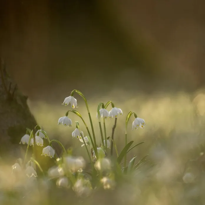  „PŘIZNAT VŠE, JAK TO JE. NEFOTIT ILUZE,” TAK FOTÍ PAVLA KURKOVÁ, FOTOGRAFKA PACHAMAMA | PachaMama.cz