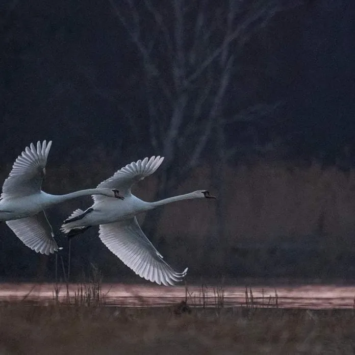  „PŘIZNAT VŠE, JAK TO JE. NEFOTIT ILUZE,” TAK FOTÍ PAVLA KURKOVÁ, FOTOGRAFKA PACHAMAMA | PachaMama.cz
