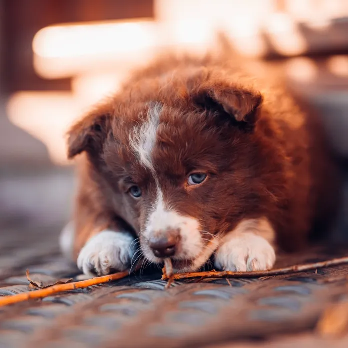  „PŘIZNAT VŠE, JAK TO JE. NEFOTIT ILUZE,” TAK FOTÍ PAVLA KURKOVÁ, FOTOGRAFKA PACHAMAMA | PachaMama.cz